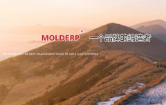专访方天软件徐泽付：中国MOLDERP品牌缔造者